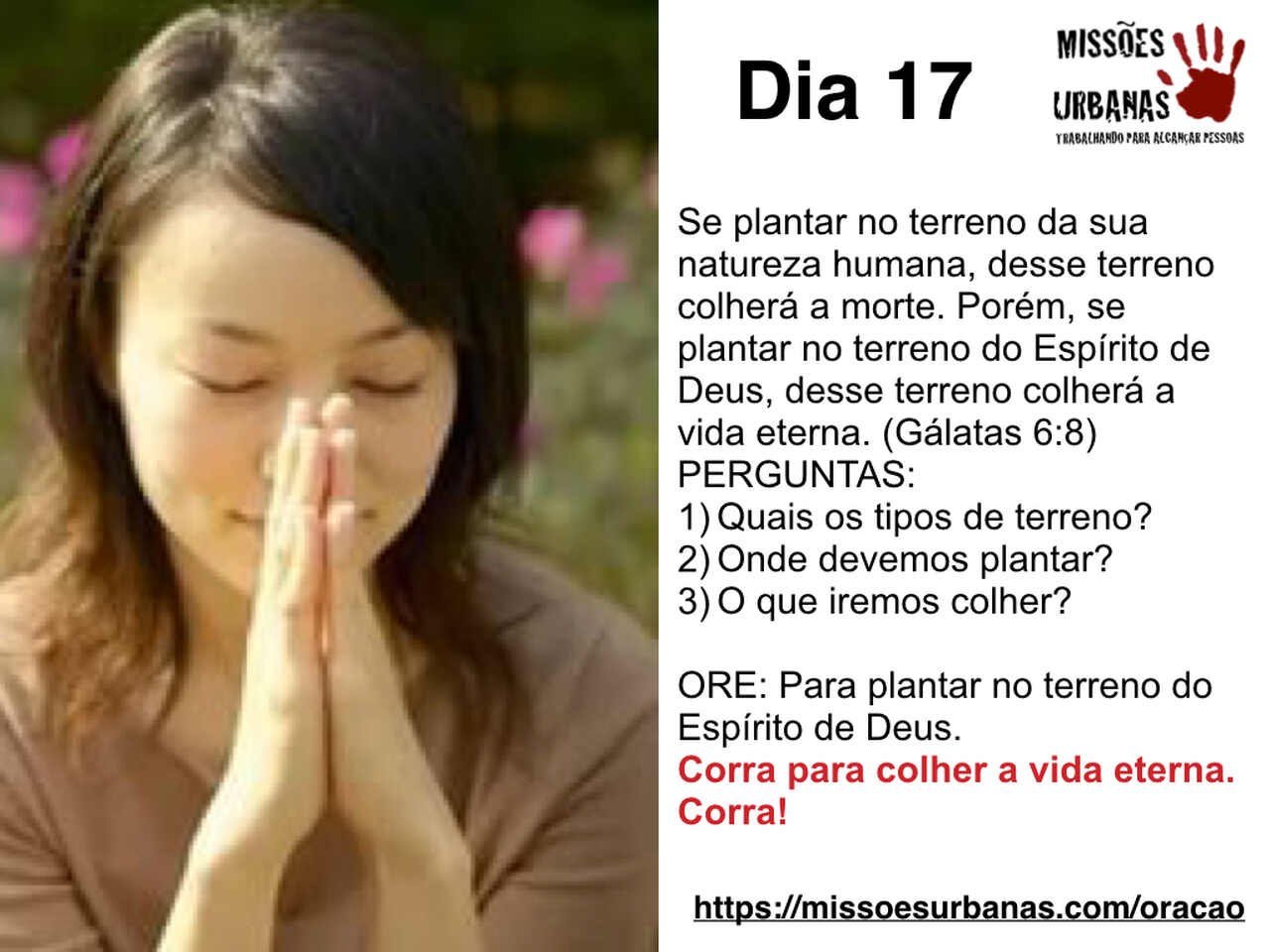 Maratona 17