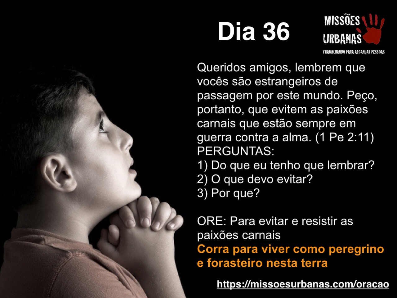 Maratona 36