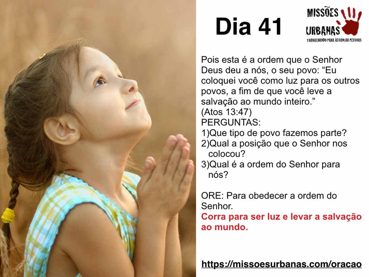 Maratona 41